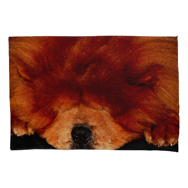 Chow Chow Dormindo Pccnm (Frente)