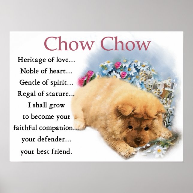 Chow Chow Puppy Art Impressão (Frente)