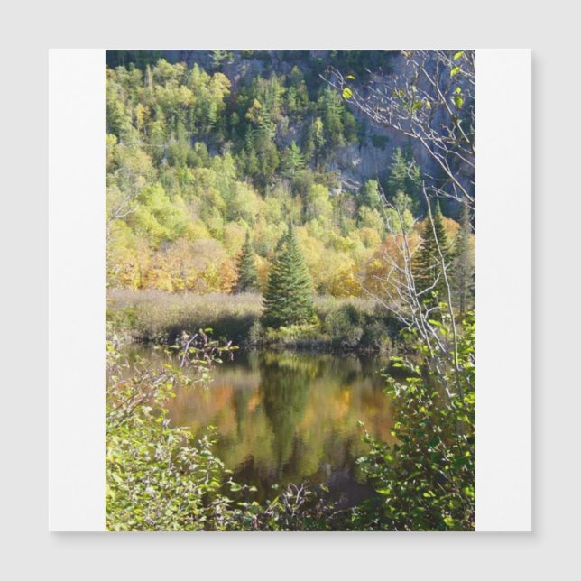 Christmas Tree holiday card, magnetic card (Frente)