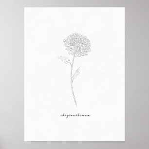 Chrysanthemum Art Impressão