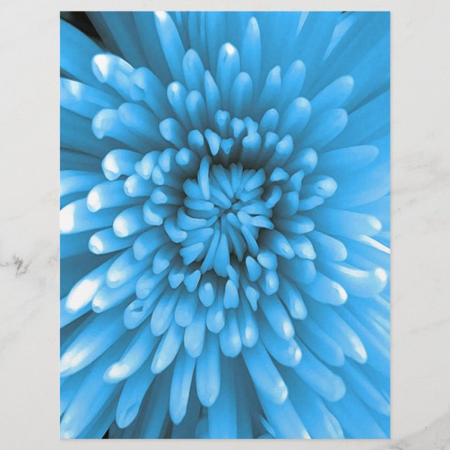 Chrysanthemum Azul (Frente)