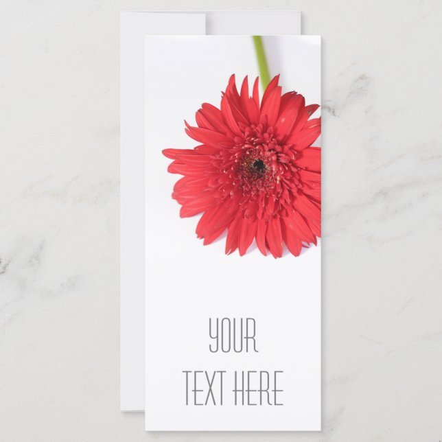 Chrysanthemum Vermelho Sua Placa Plana De Texto (Frente)