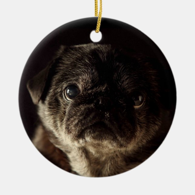 Chubbs o preto de Wampug no ornamento preto (Frente)