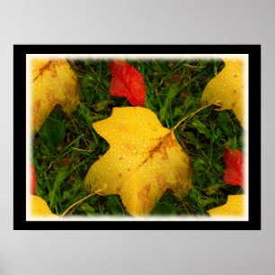 Chuva cai outono deixa Poster