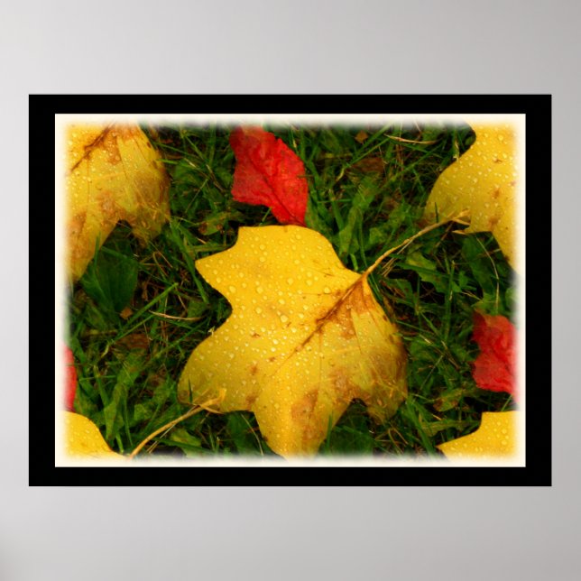 Chuva cai outono deixa Poster (Frente)