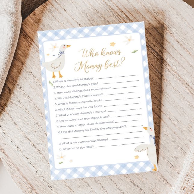 Chuva de Ideias Chá de Bebê Silly Goose Quem Sabe  (Silly Goose Baby Shower Game)