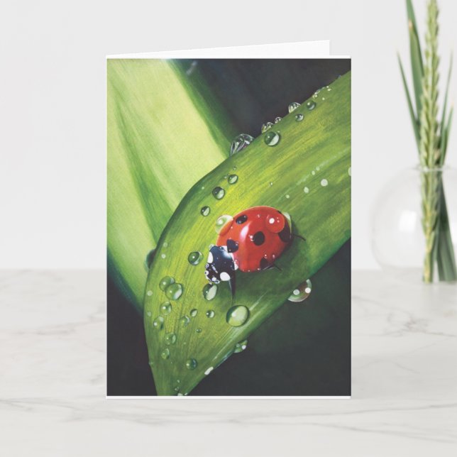 Chuva em cima do cartão segado da grama (Frente)