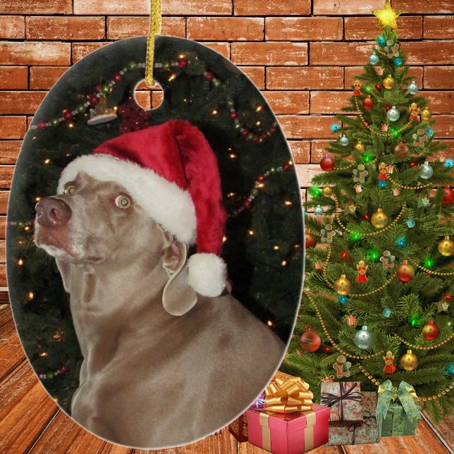 Chuva o Weimaraner - um Enfeites de natal (Criador carregado)