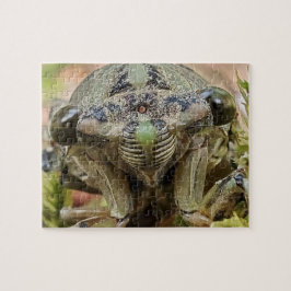 Cicada quebra-cabeça