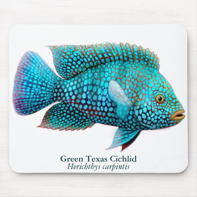 Cichlidae Mousepad de Carpintis Texas (Frente)