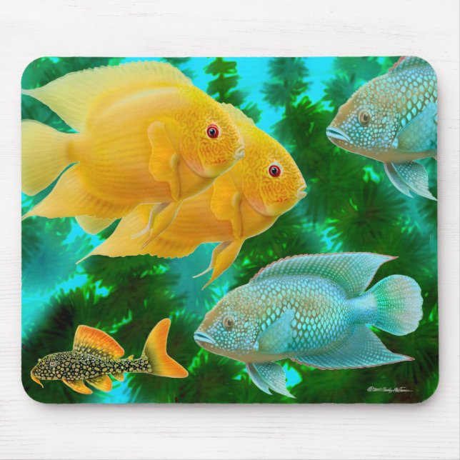 Cichlidaes novas Mousepad do mundo (Frente)