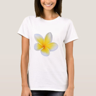 Cicy Bell Camiseta Feminina Manga Curta – So