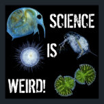 Ciência é poster esquisito!<br><div class="desc">Personalize como quiser.</div>