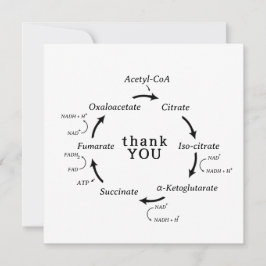 Ciência Obrigado Professora Kreb de Biologia do Ci