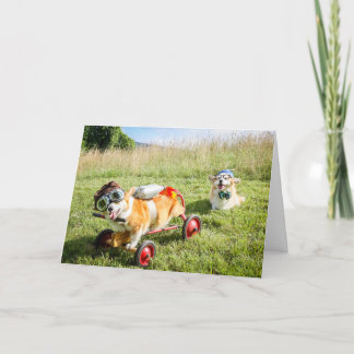 Cientista Corgis em um cartão de aniversário de Hi