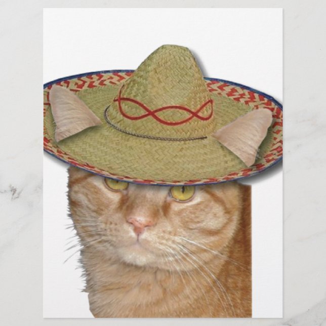 Cinco de Gato (Frente)