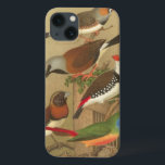 Cinco Pássaros Pet Coloridos Empoleirados em um Ra<br><div class="desc">A arte do Cassel Plakater é muito distinta. Essa pintura de cinco aves tropicais é colorida e seria perfeita para qualquer amante aviário. Escolha esta impressão artística hoje mesmo no seu produto.</div>