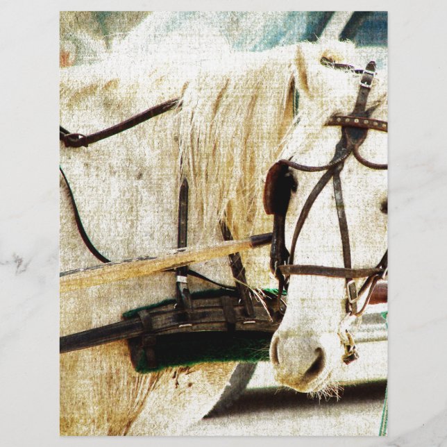 Cinza Amish Buggy Horse (Frente)