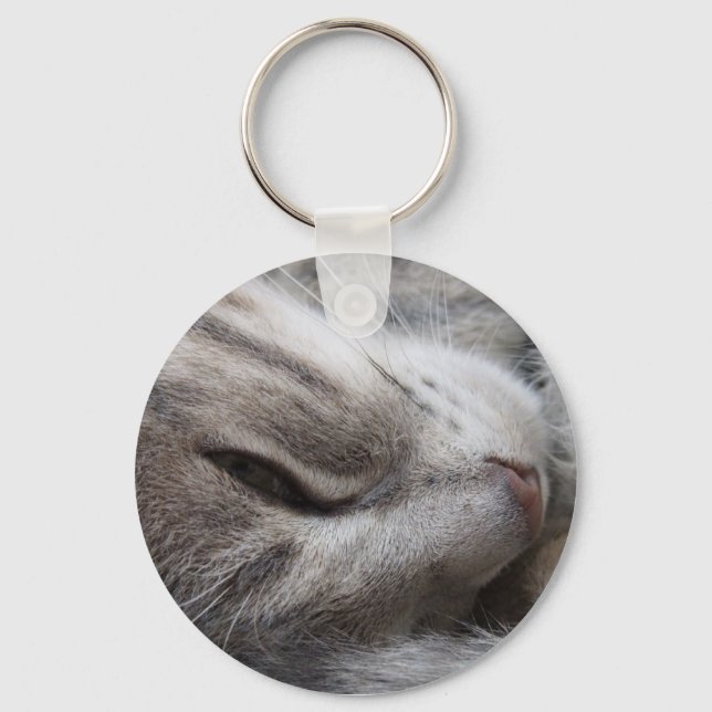 Cinza de Gato de Chaveiro (Frente)