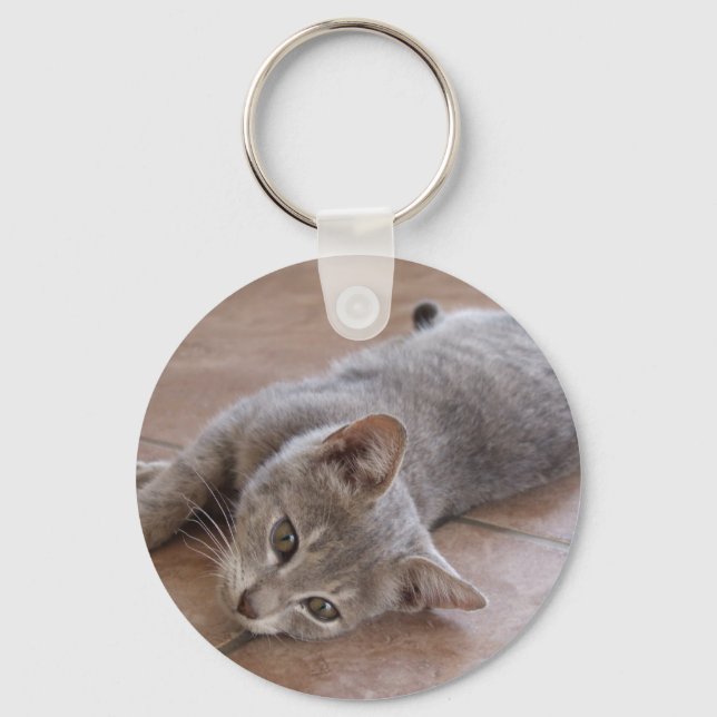 Cinza de Gato de Chaveiro (Frente)
