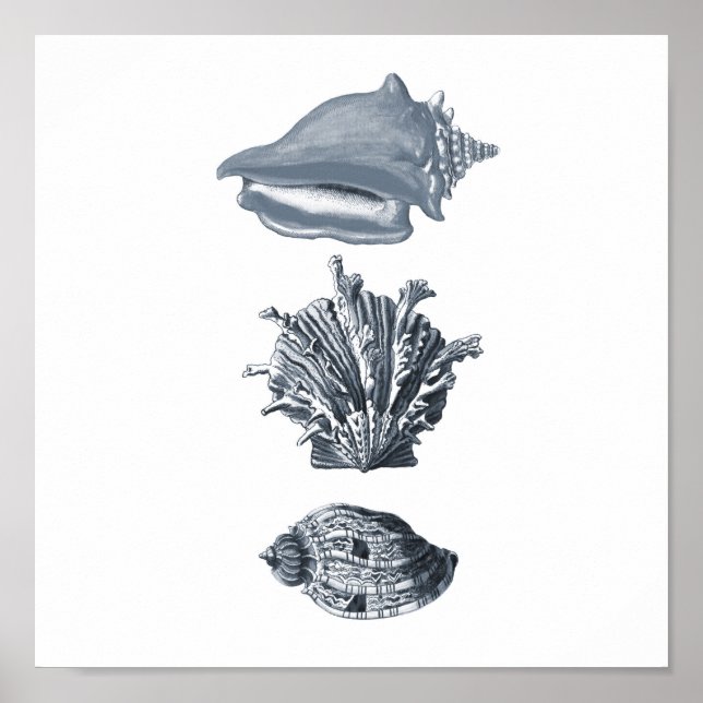 Cinza de praia decor impressão #8 (Frente)