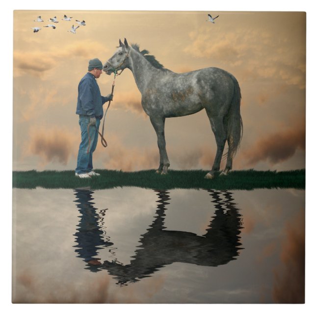 Cinza E Azulejo De Cerâmica De OTTB (Frente)