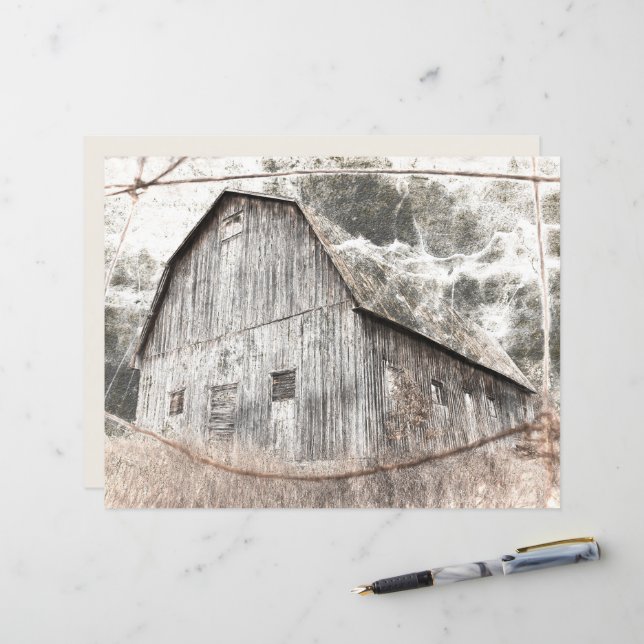 Cinza Rústica, Vintagem Castanha-do-pardo (Frente/Verso In Situ)