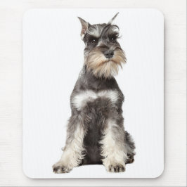 Cinza Schnauzer Puppy Dog Mousepad