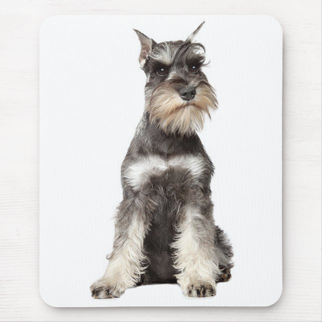 Cinza Schnauzer Puppy Dog Mousepad (Frente)