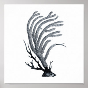 Cinza Sealife 12A Impressão nº 11 Coral marinho