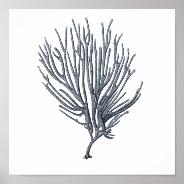 Cinza Sealife Group 12A Impressão nº 6 Sea Coral (Frente)