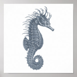Cinza Sealife grupo 12A impressão nº 5 Cavalo mari