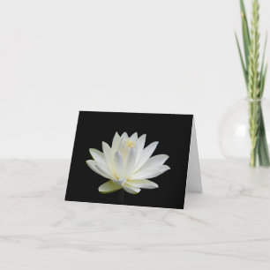 Cinza White Water Lily Vazio Nota Saudação Cartões