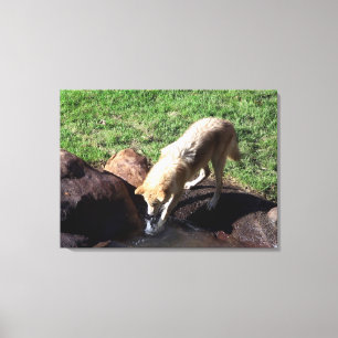 Cinza Wolf Canvas