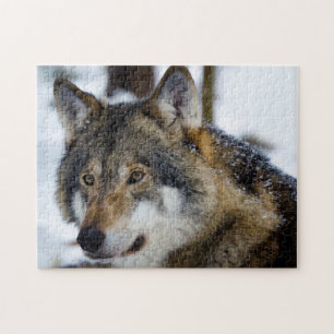 Cinza Wolf, Jigsaw Quebra-cabeça