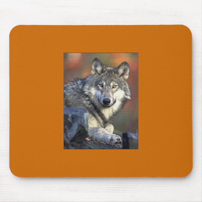 Cinza Wolf Mousepad (Frente)