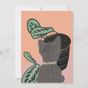 Cinzas De Gato De Tabuleiro Obrigado