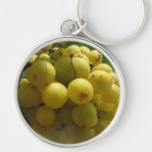 círculo chaveiro fruta do