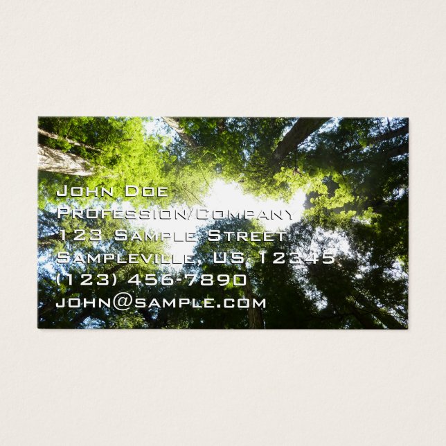 Círculo de Árvores Redwood no Parque Nacional Redw (Frente)