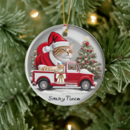 Círculo de enfeites de natal