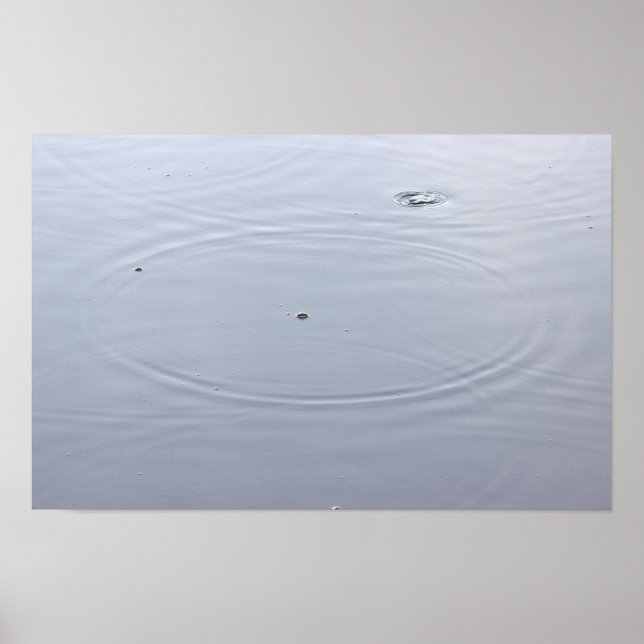 Círculos de luz solar na Poster de pond (Frente)
