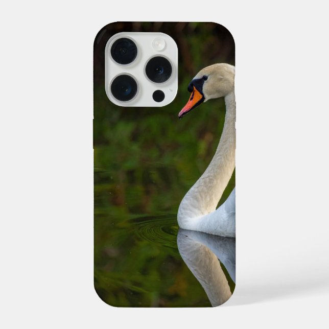 cisne (Verso)