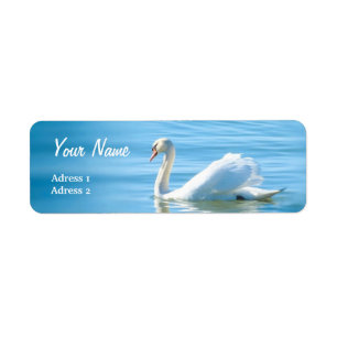 Cisne branca bonita - etiqueta de endereço