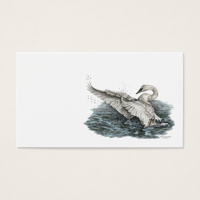 Cisne branco na água (Frente)