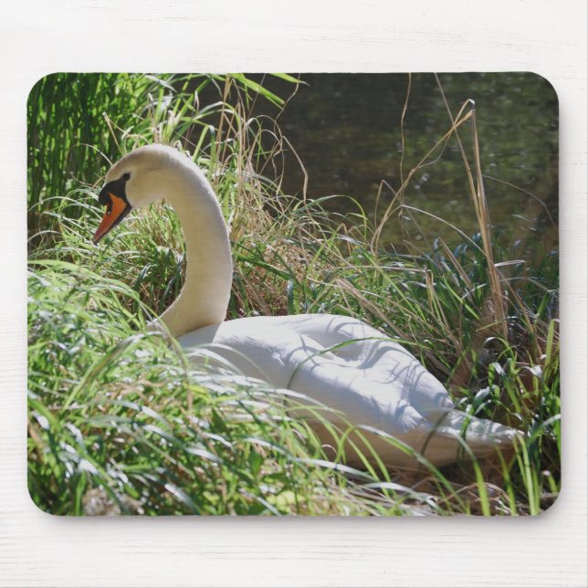 Cisne sereno Mousepad (Frente)