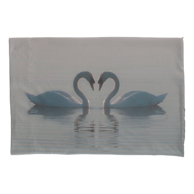 Cisnes Azuis Devem Ser Amor (Frente)