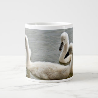 cisnes na caneca da água