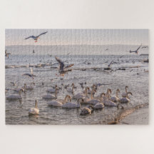 Cisnes na Quebra-cabeça do Mar Negro