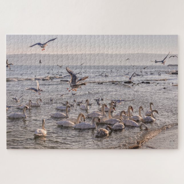 Cisnes na Quebra-cabeça do Mar Negro (Horizontal)