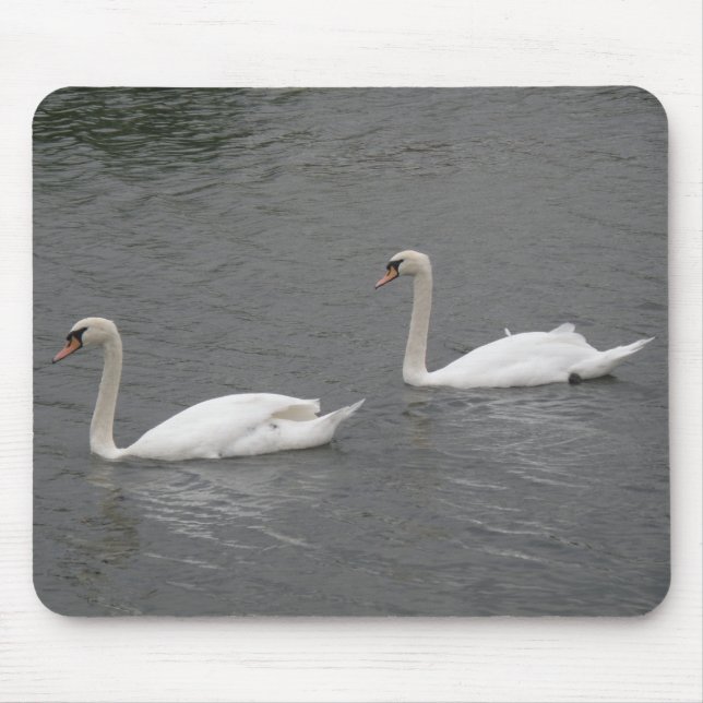 Cisnes no rio Mousepad (Frente)